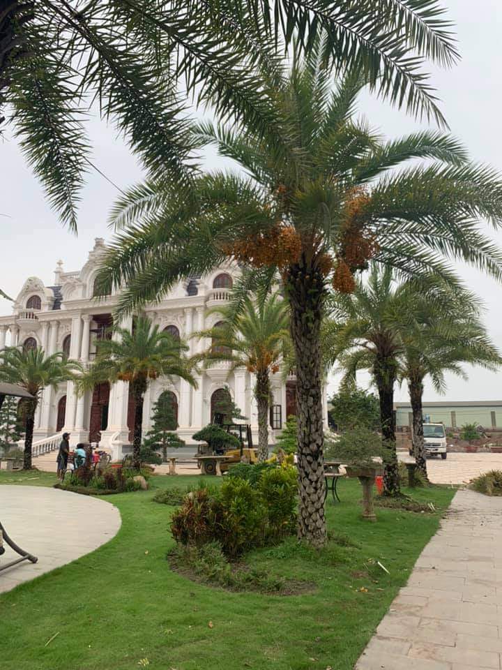 Binh Phuoc Villa 1.2ha (19)