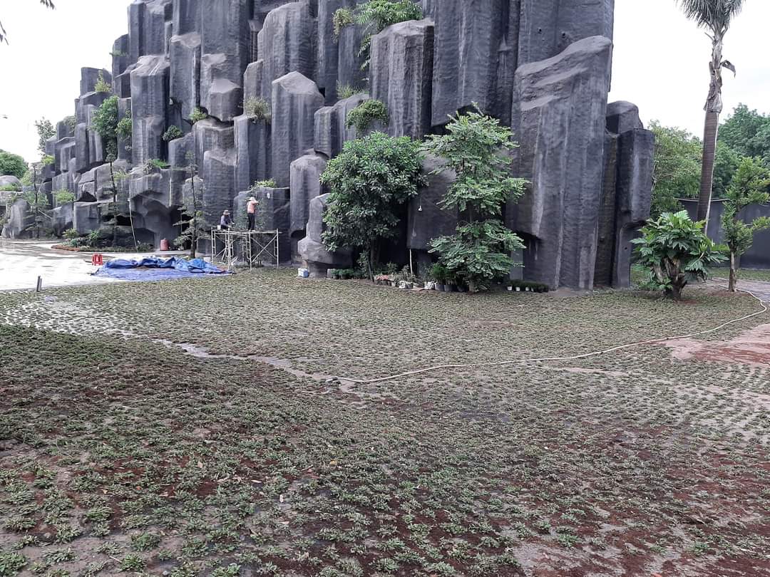 Binh Phuoc Villa 1.2ha (22)