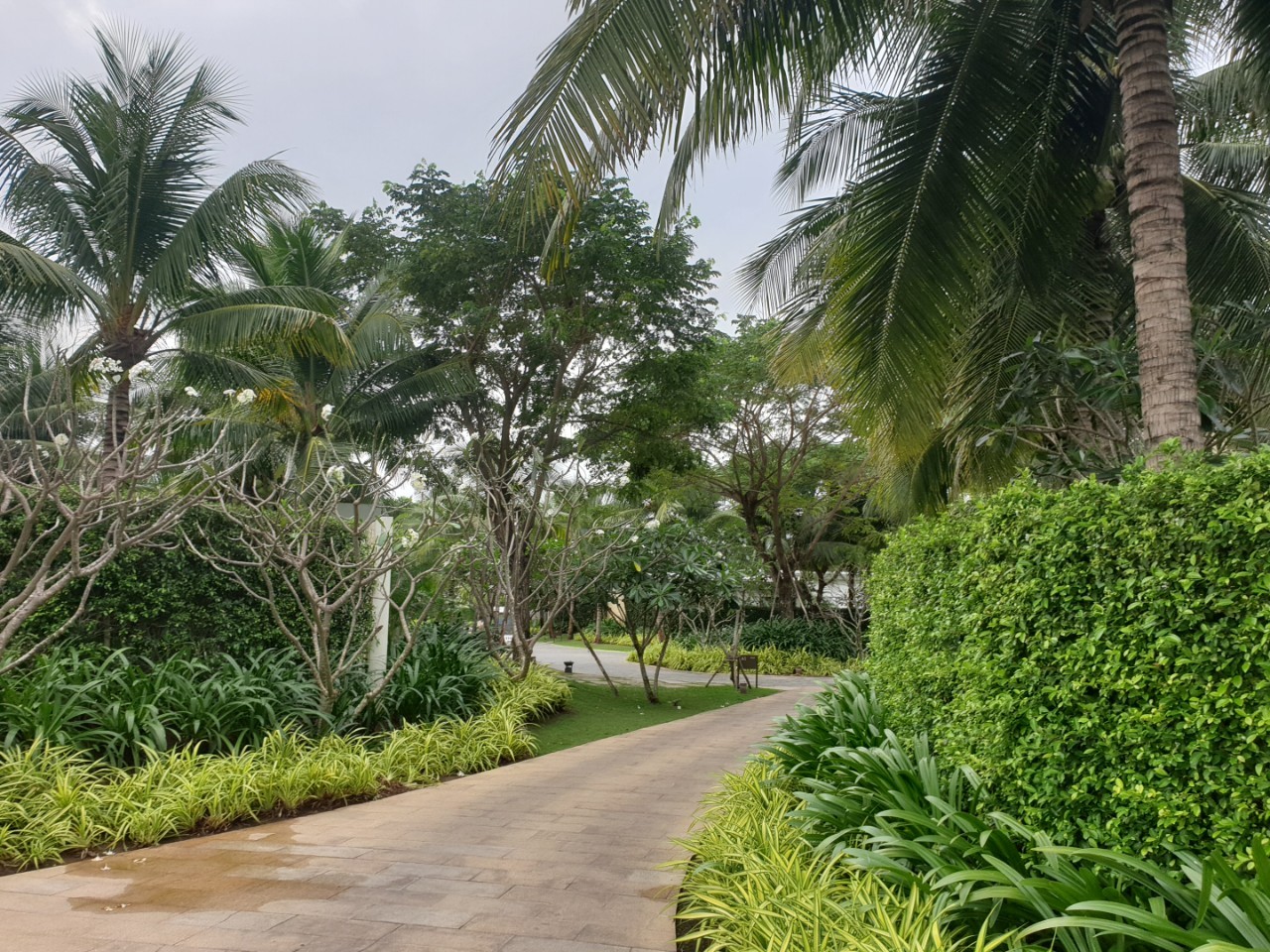 melia ho tram - khanh 12 melia ho tram - khanh 12