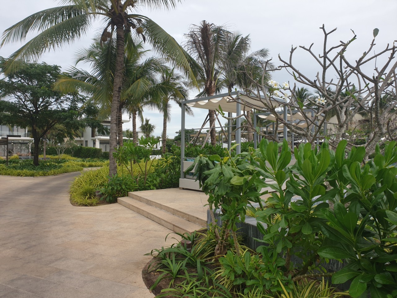 melia ho tram - khanh 15 melia ho tram - khanh 15