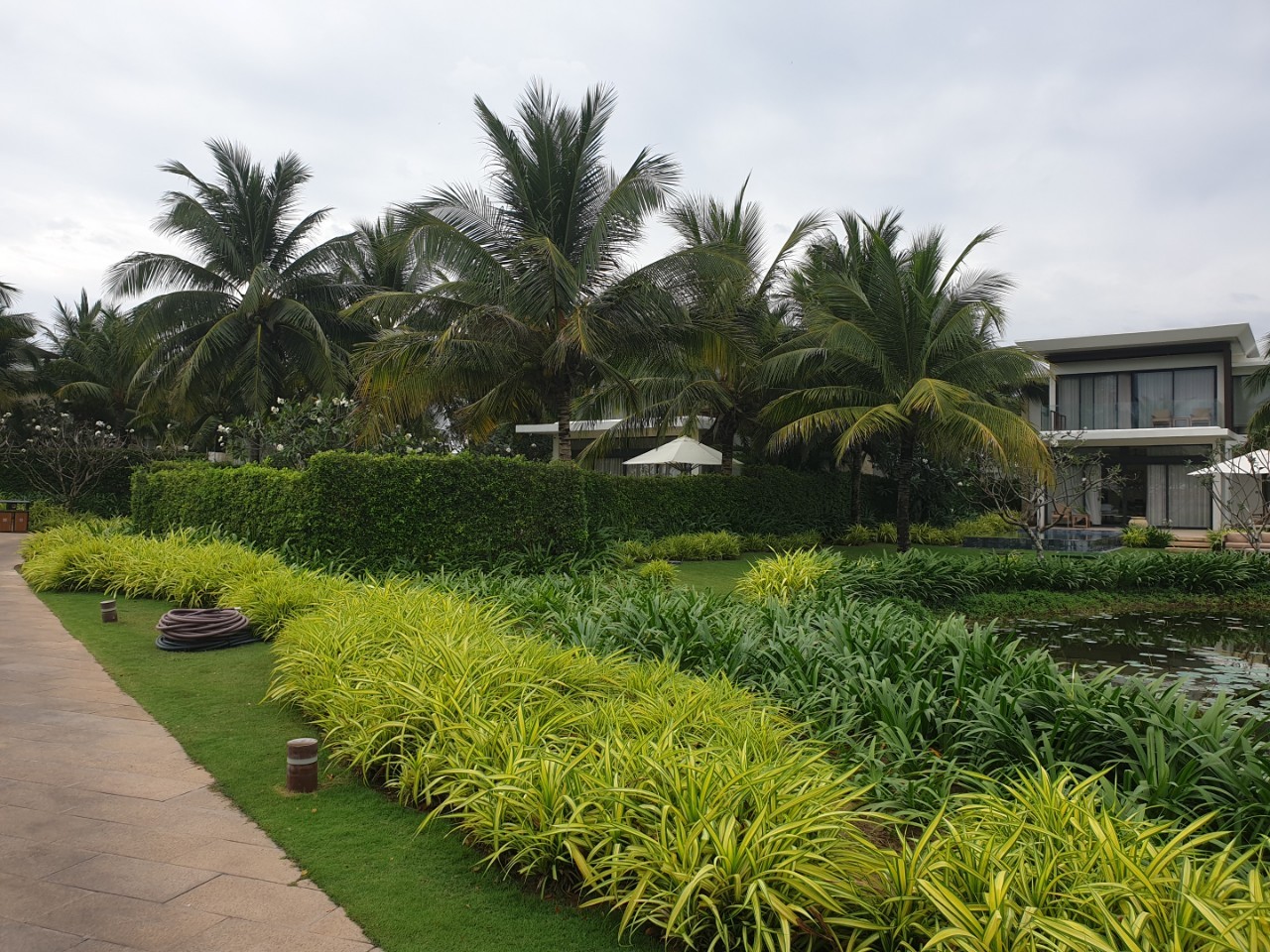 melia ho tram - khanh 17 melia ho tram - khanh 17