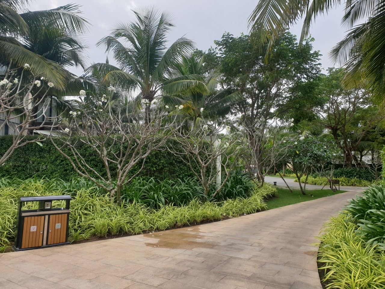 melia ho tram - khanh 8 melia ho tram - khanh 8